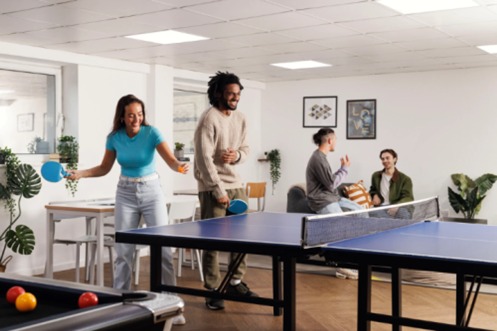 Affordable room for students with ample lighting in 