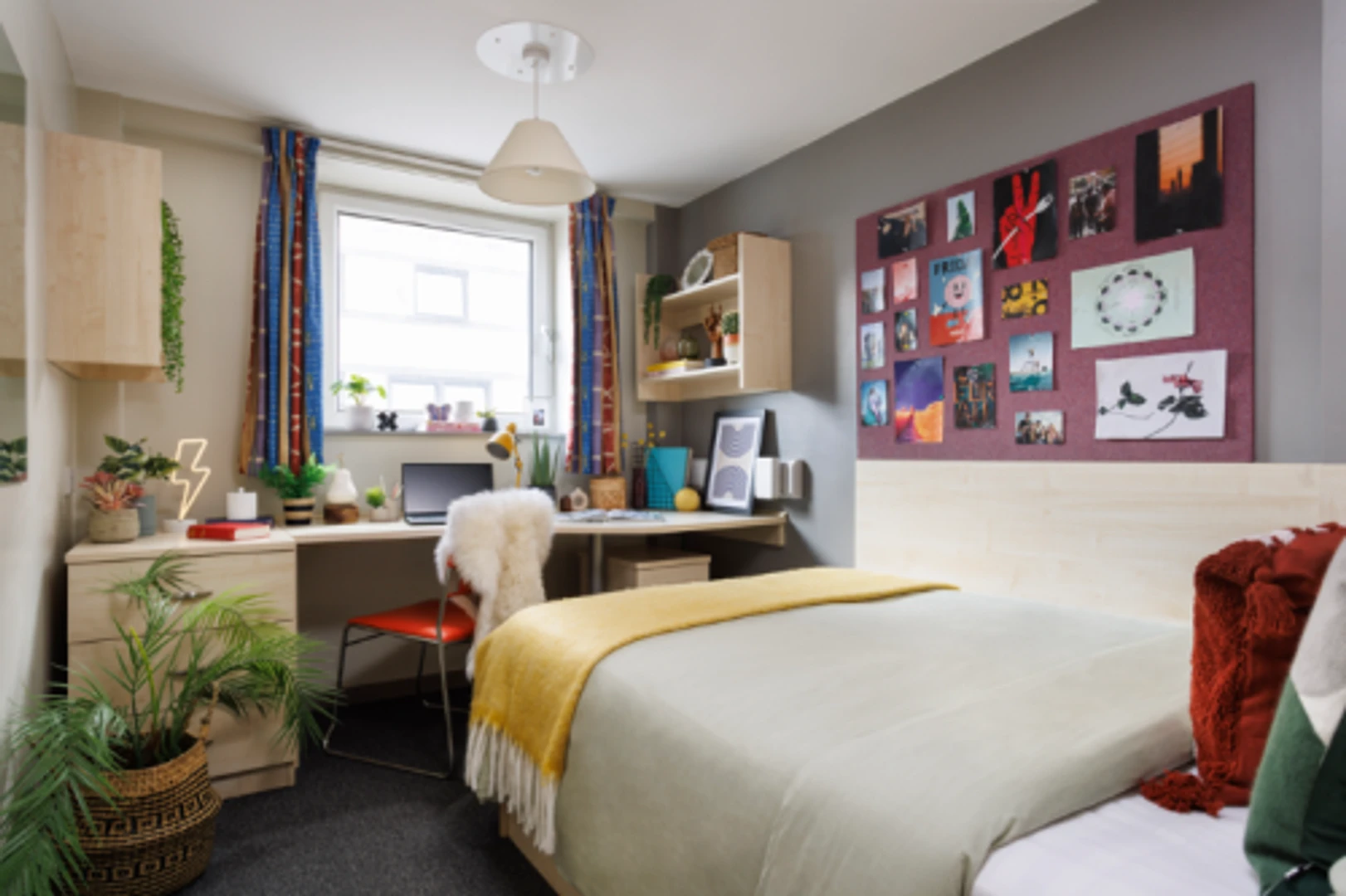 Affordable room for students with ample lighting in 