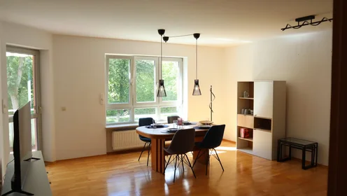 Całe miejsce Dr.-Otto-Meyer-Straße, Lechhausen, obraz 2 10