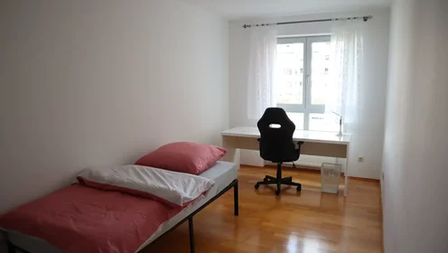 Całe miejsce Dr.-Otto-Meyer-Straße, Lechhausen, obraz 7 10