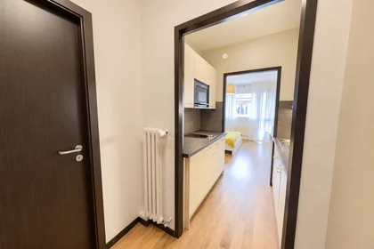 Logement entier à Rue Goetz-Monin, Plainpalais, image 8 de 8