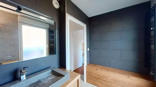 Private room at Rue Léon Jouhaux, image 20 of 20