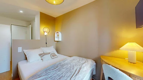Habitación privada en 25 Rue Gabriel Goudy, 44200 Nantes, France, imagen 1 de 19