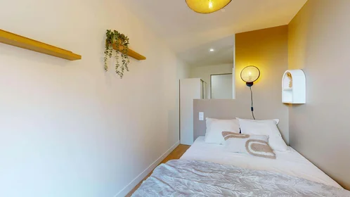 Habitación privada en 25 Rue Gabriel Goudy, 44200 Nantes, France, imagen 2 de 19