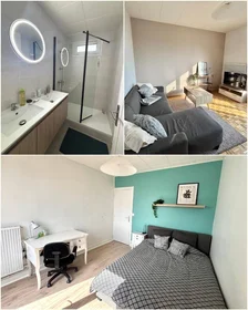 Habitación privada en Le mans, 72100, imagen 17 de 18