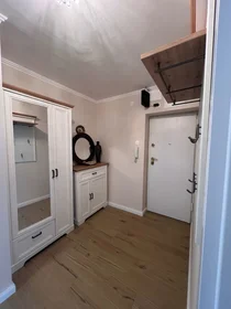 Entire apartment at 41, image 2 of 16