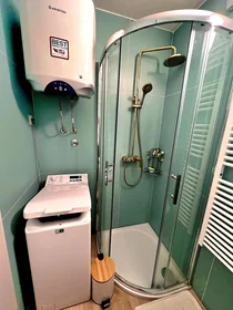 Entire apartment at 41, image 15 of 16