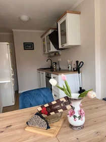 Entire apartment at 41, image 8 of 16
