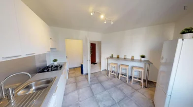 Private room at Rue Pierre Audry, image 12 of 18