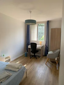Private room at Grenoble, 38100, image 9 of 15