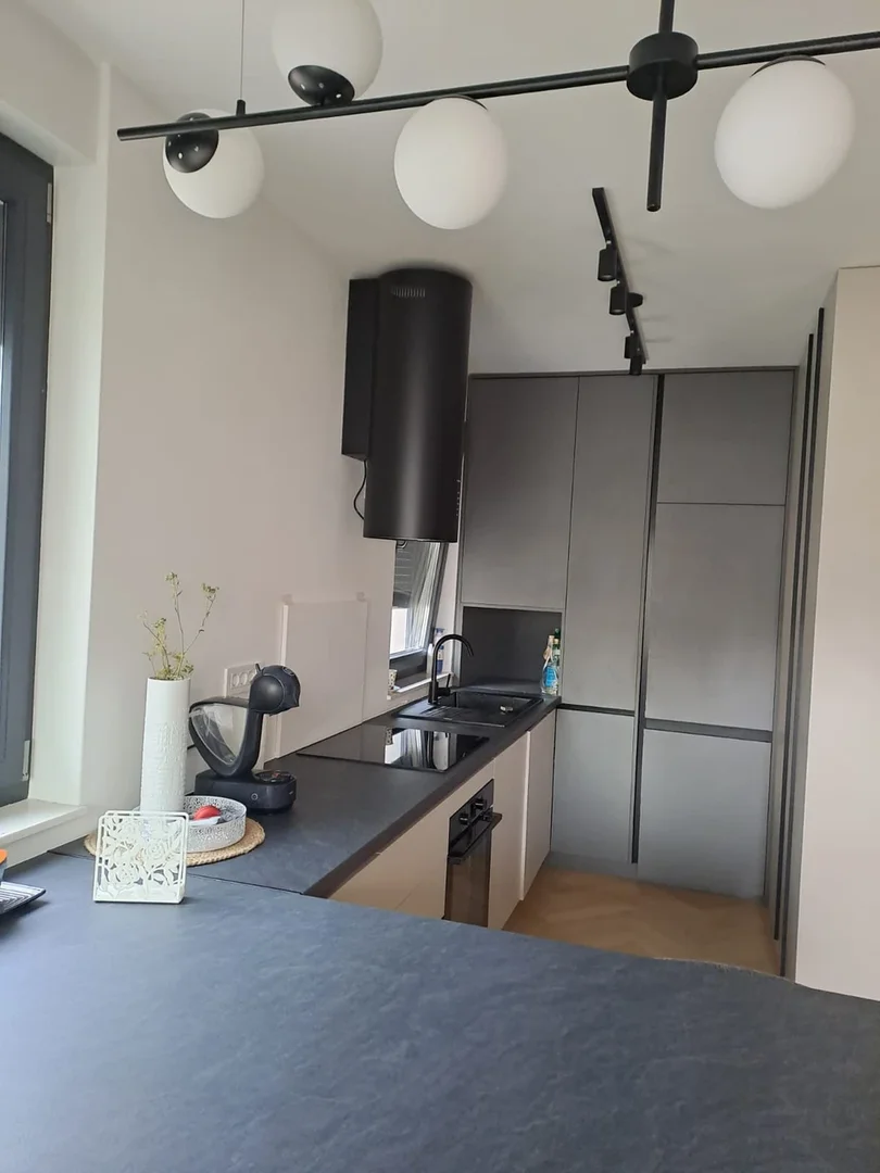 40b