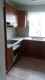 Chambre privée à Skipholt, Reykjavik, image 4 de 5