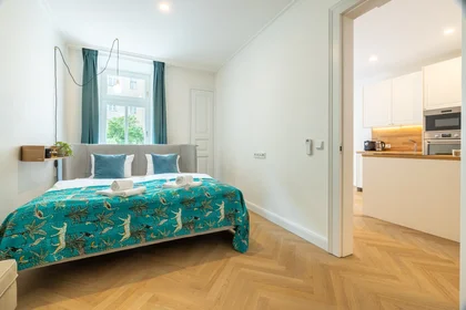 Apartamento inteiro em Mánesova 86, imagem 1 de 10