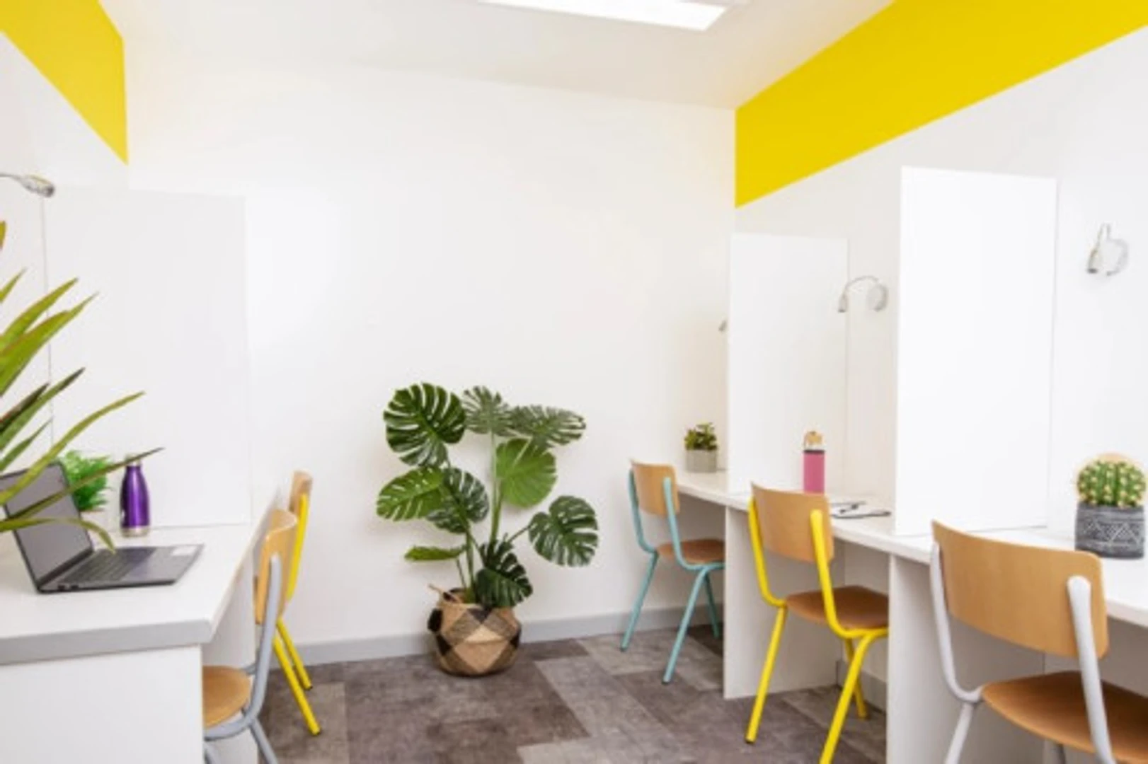 Affordable room for students with ample lighting in 