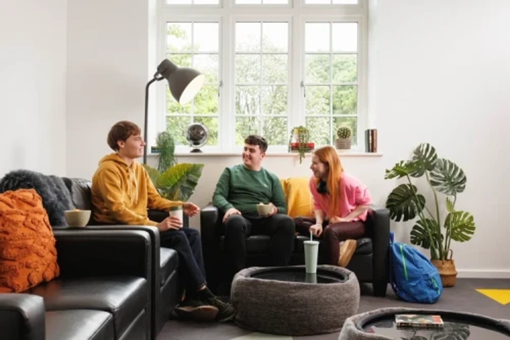 Affordable room for students with ample lighting in 