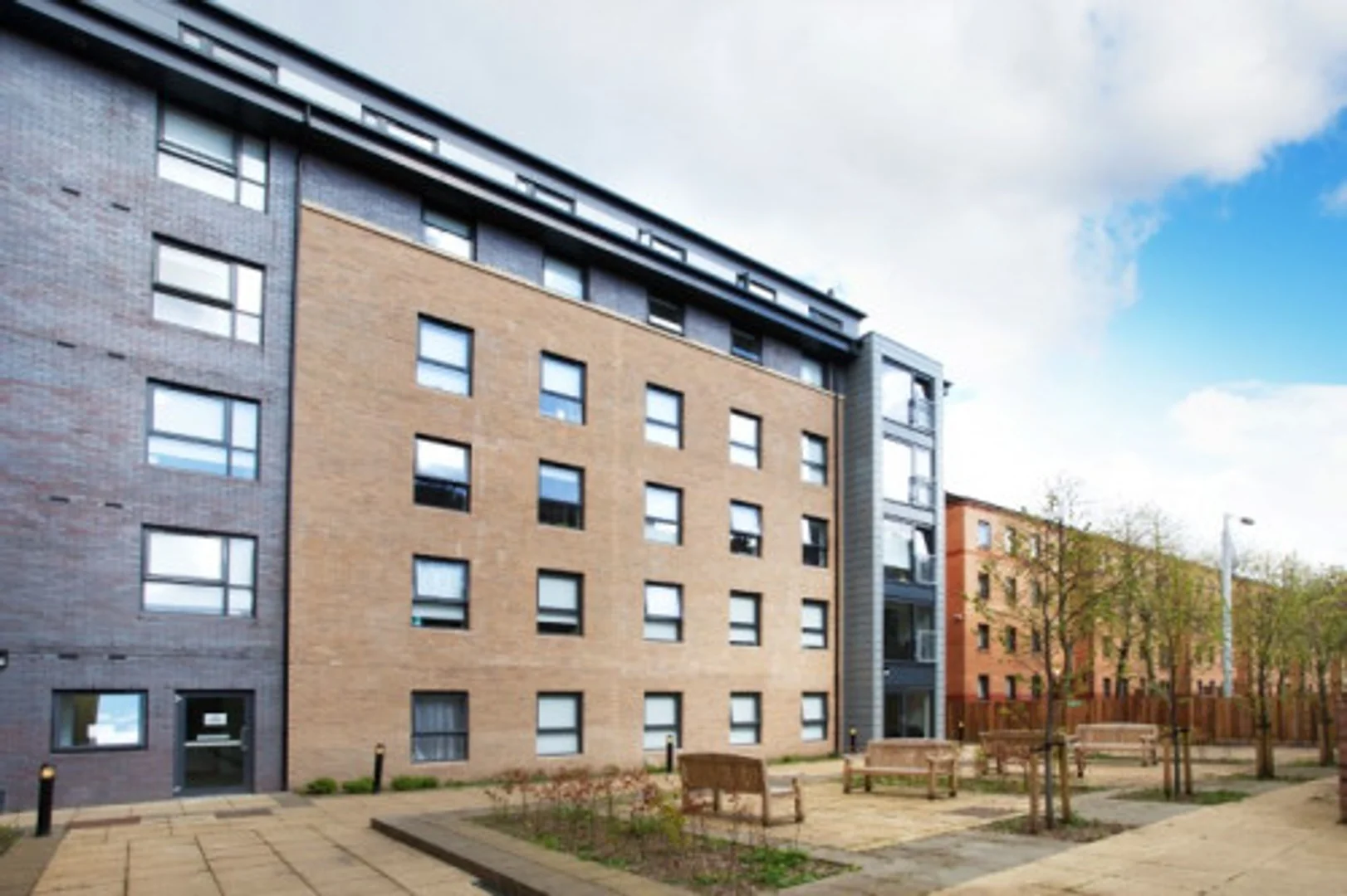 Affordable room for students with ample lighting in 