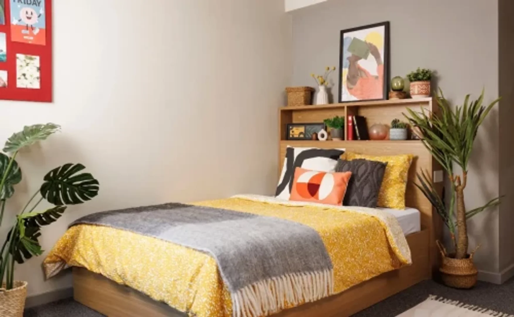 Cozy room for students available in 