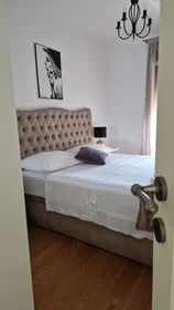 Appartamento intero in Put Žnjana 45, immagine 1 di 10