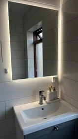 Appartamento intero in Hólmgarður, Háaleiti og Bústaðir, immagine 5 di 10