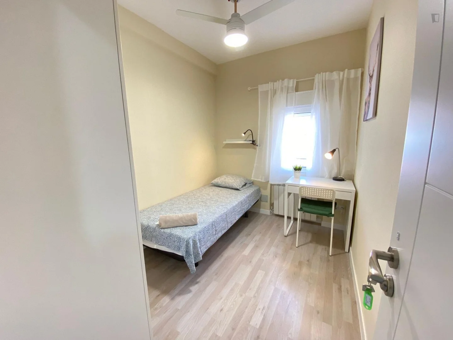 Budget-friendly student room close to campus in 