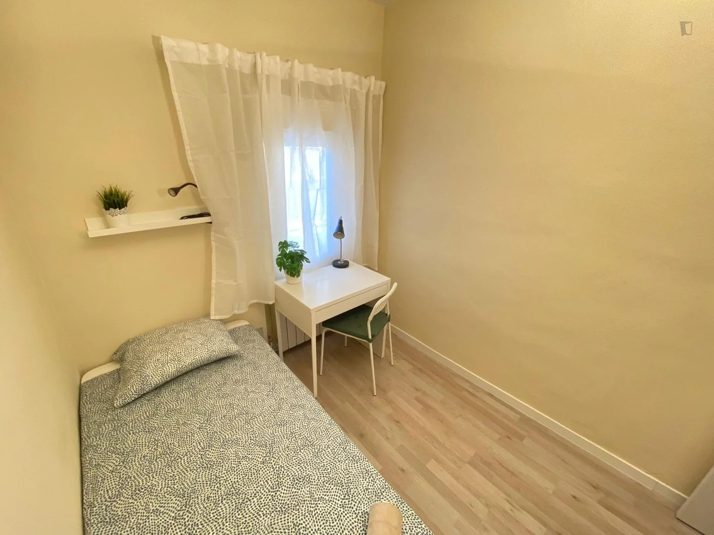 Cozy room for students available in 