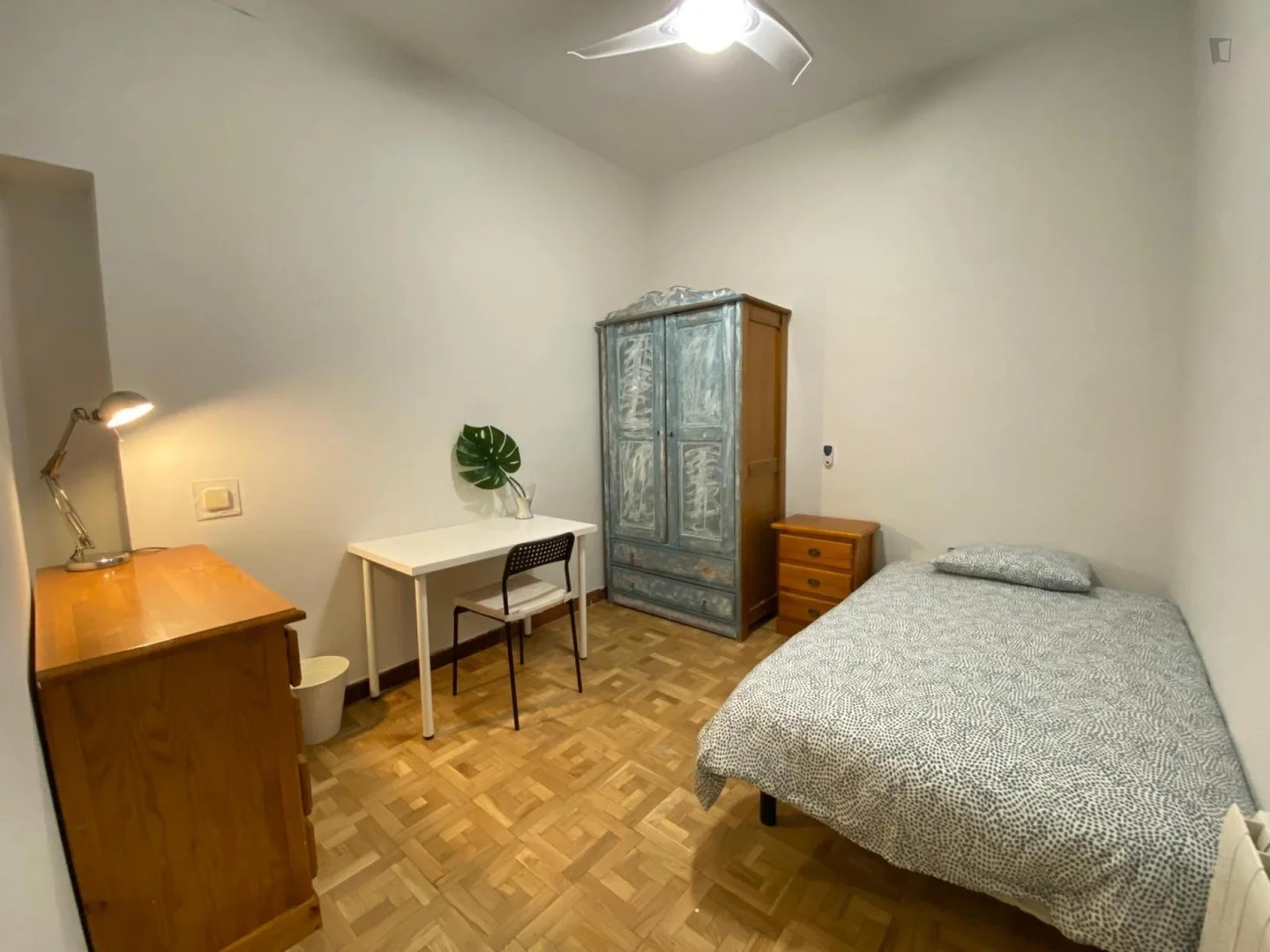 Stanza economica per studenti con ampia illuminazione in 