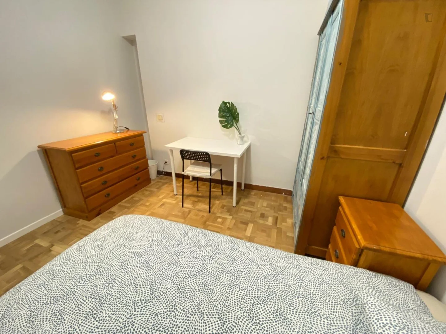 Camera accogliente per studenti disponibile a 