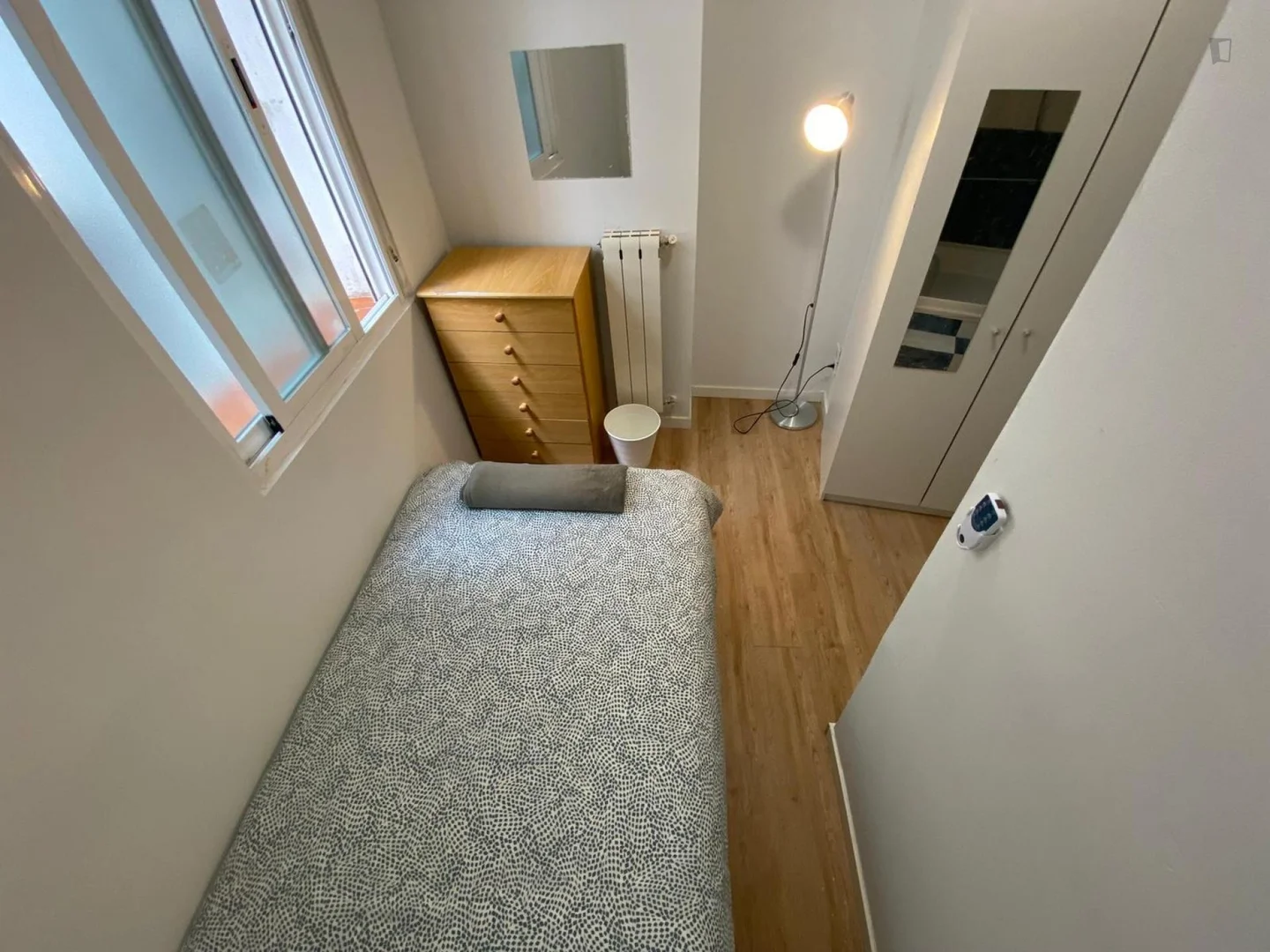 Stanza economica per studenti con ampia illuminazione in 