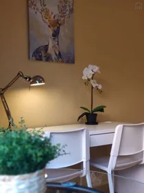 Chambre privée à C. de Melilla, 2, image 37 de 46