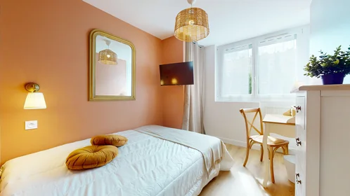 Chambre privée à 21 Boulevard Alexandre de fraissinette, image 11 de 16