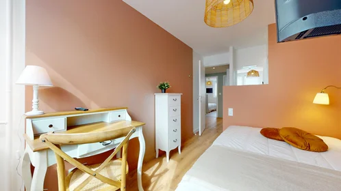 Chambre privée à 21 Boulevard Alexandre de fraissinette, image 12 de 16
