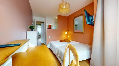 Chambre privée à 21 Boulevard Alexandre de fraissinette, image 13 de 16