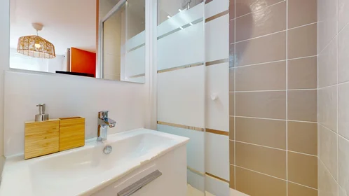 Chambre privée à 21 Boulevard Alexandre de fraissinette, image 14 de 16