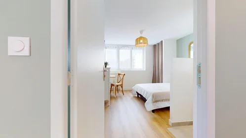 Quarto privado em 21 Boulevard Alexandre de fraissinette, imagem 13 de 17