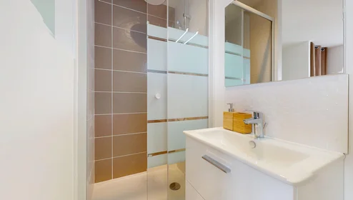 Quarto privado em 21 Boulevard Alexandre de fraissinette, imagem 16 de 17
