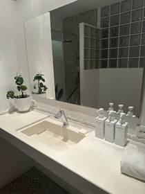 Alojamiento entero en Carrer Bisbe Arnau Alberti, imagen 16 de 18