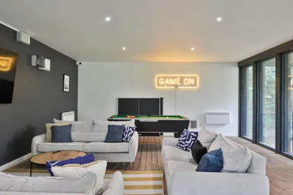 Entire apartment in residence at Elvetham Rd, Birmingham B15 2NL, United Kingdom , image 12 of 40