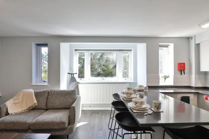 Entire apartment in residence at Elvetham Rd, Birmingham B15 2NL, United Kingdom , image 6 of 40