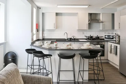 Entire apartment in residence at Elvetham Rd, Birmingham B15 2NL, United Kingdom , image 7 of 40