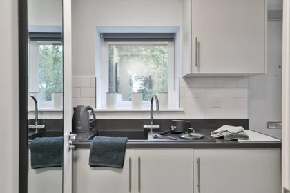 Entire apartment in residence at Elvetham Rd, Birmingham B15 2NL, United Kingdom , image 8 of 40
