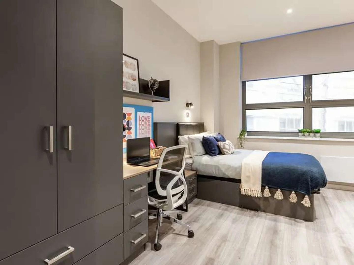 Monolocale chic vicino al campus a 