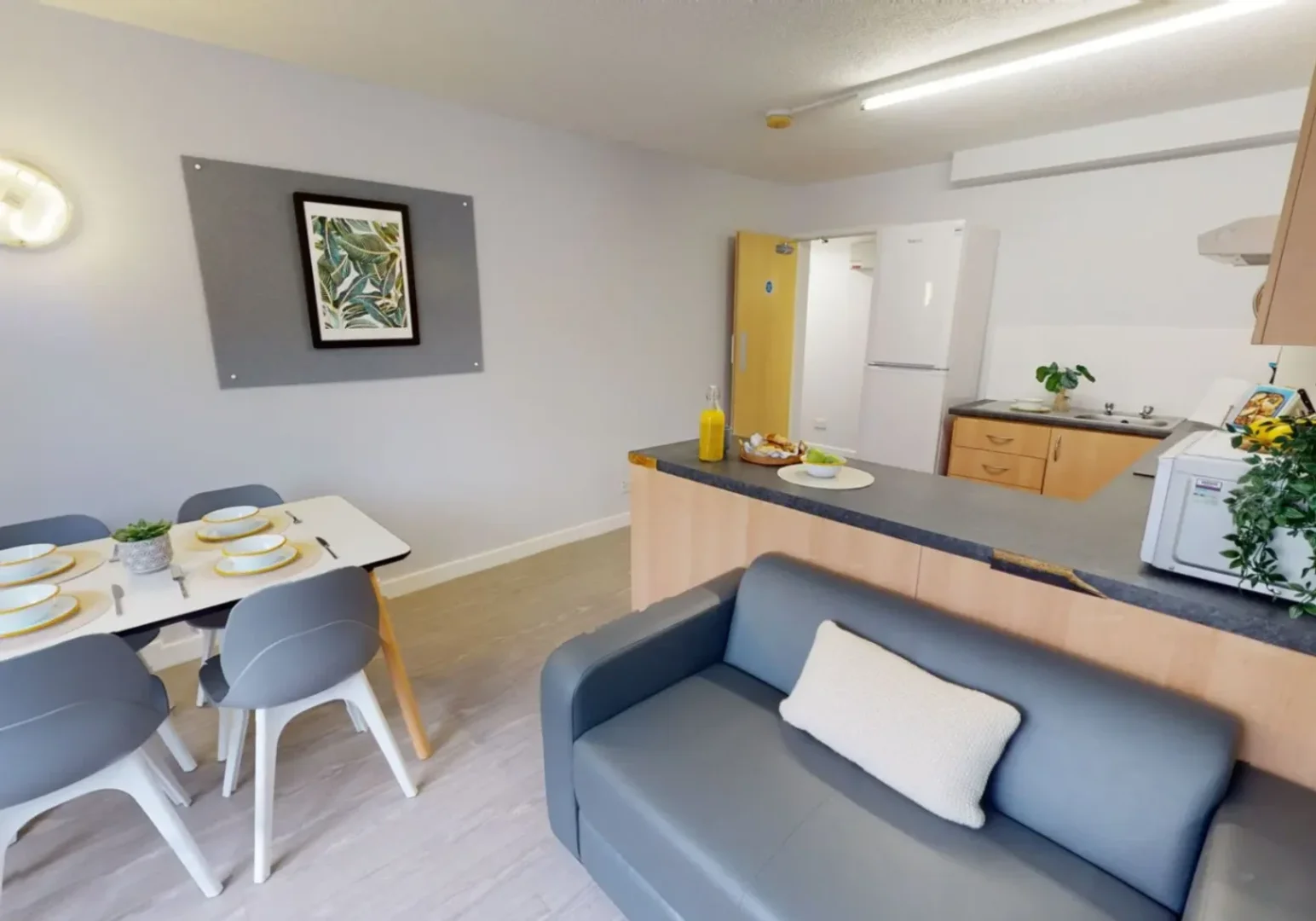 Student-friendly room in with modern amenities