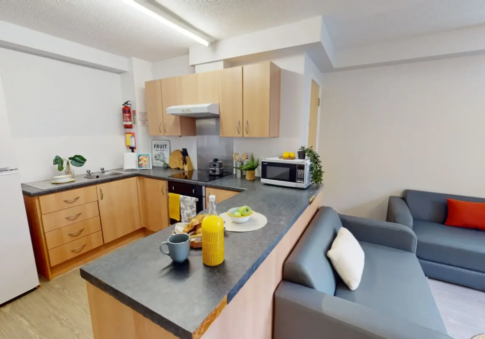 Student-friendly room in with modern amenities