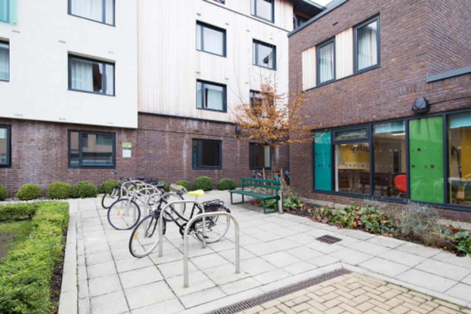 Student room in  with study area and shared facilities