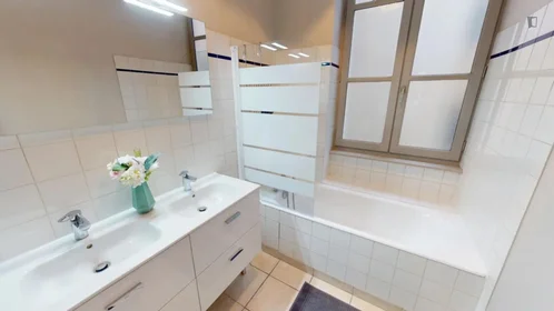 Quarto privado em Rue du Président Édouard Herriot, imagem 12 de 16