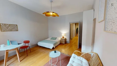 Quarto privado em Rue du Président Édouard Herriot, imagem 4 de 16