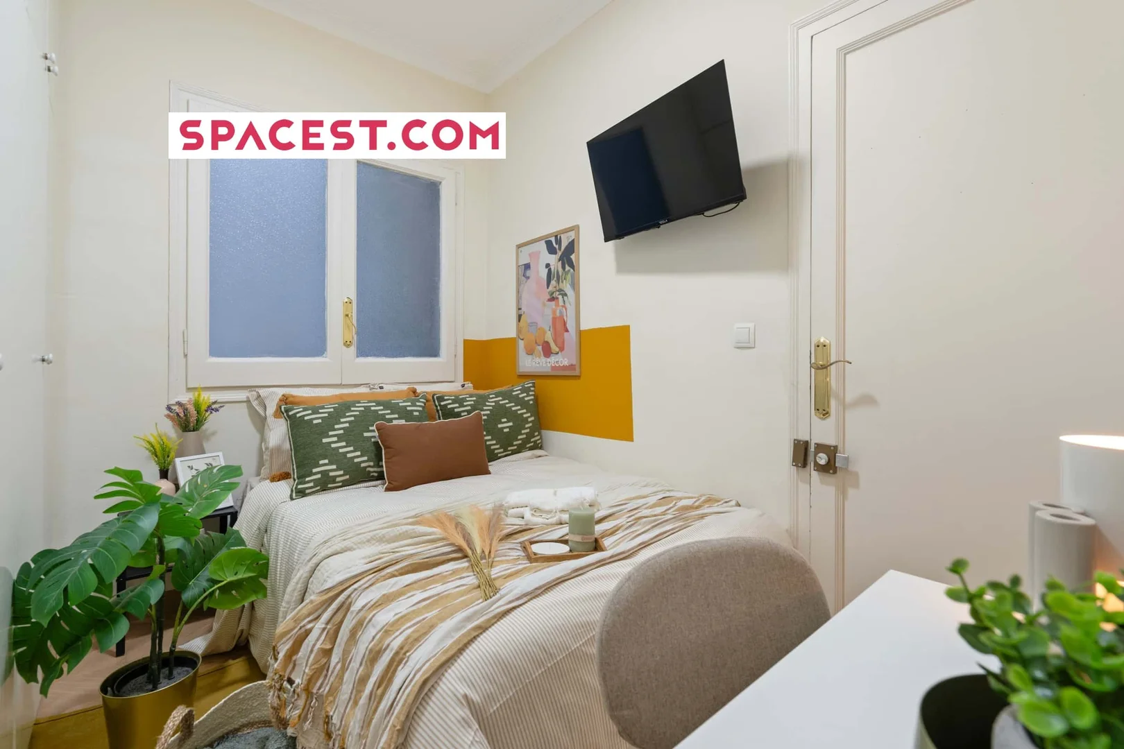 Affordable room for students with ample lighting in 