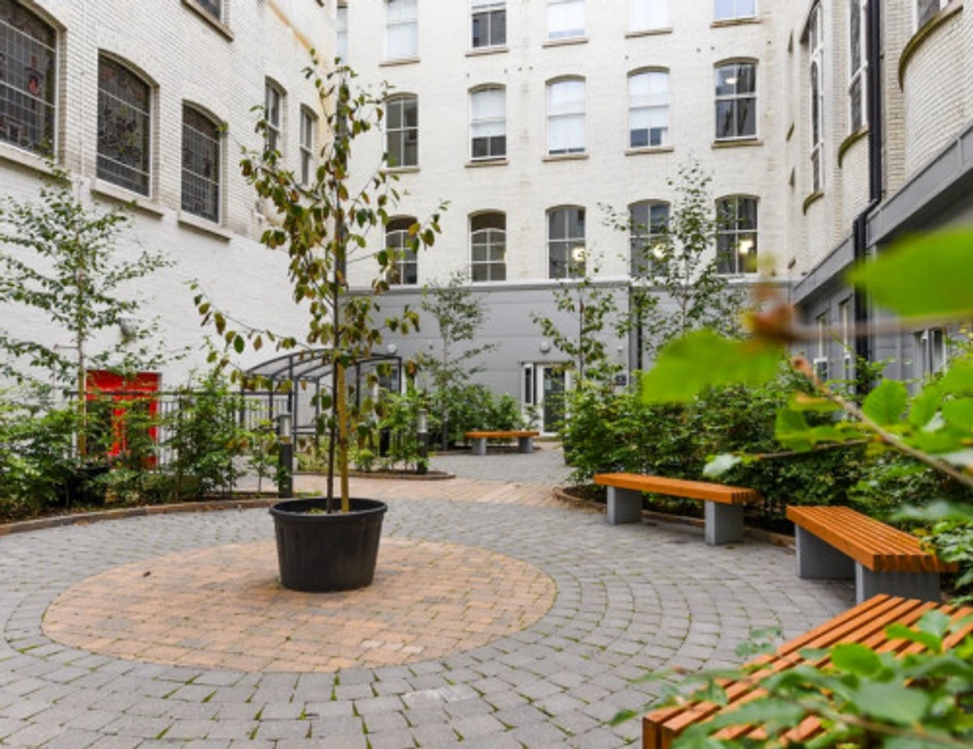 Ekonomiczny pokój studencki z dogodną lokalizacją w 