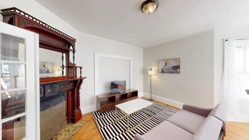 Habitación privada en #1233: Brighton Boston 02135, imagen 12 de 20