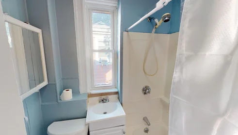 Habitación privada en #1233: Brighton Boston 02135, imagen 9 de 20